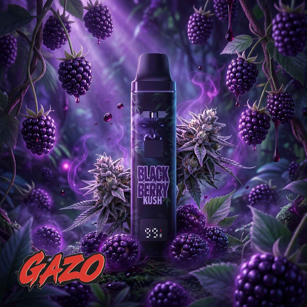 10x Gazo Pro - H3BTA - 1ml - by Gzuz - McVapes
