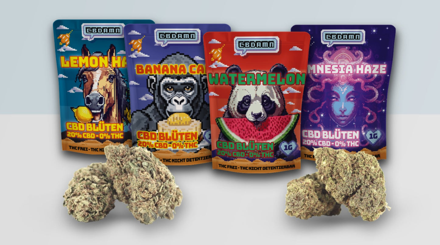 CBDamn - CBD Blüten Set - 1 g Tüte - 10 Stück