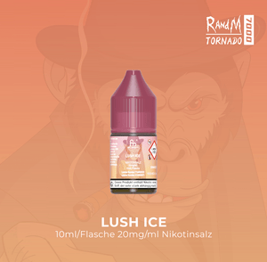 RandM Liquid 20 mg/ml - 10 Stück - McVapes